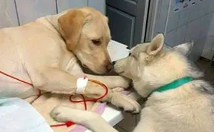 50 Posts To Lift Your Spirits Up When You're Feeling Down (New Pics)