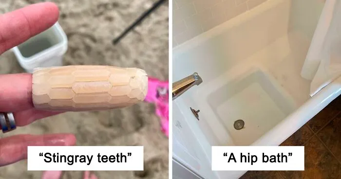 50 Times People Had No Idea What They Were Looking At And Asked The Internet For Help (New Pics)