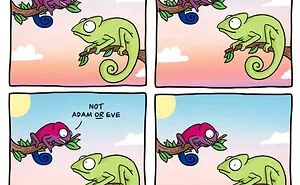 Artist Creates Queer Chameleon Comics Where The Characters Talk About Their Sexualities And Identities (26 Pics)