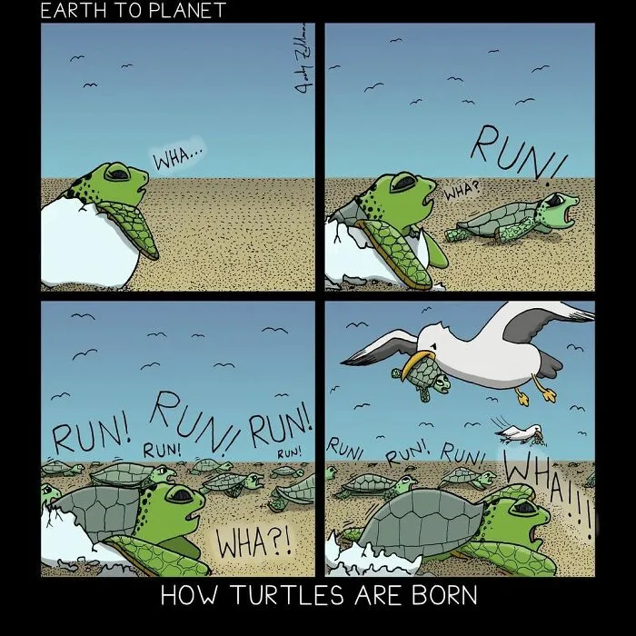 This Artist Makes Comics About Absurd And Fun Situations That Might Make You Laugh (40 Pics)