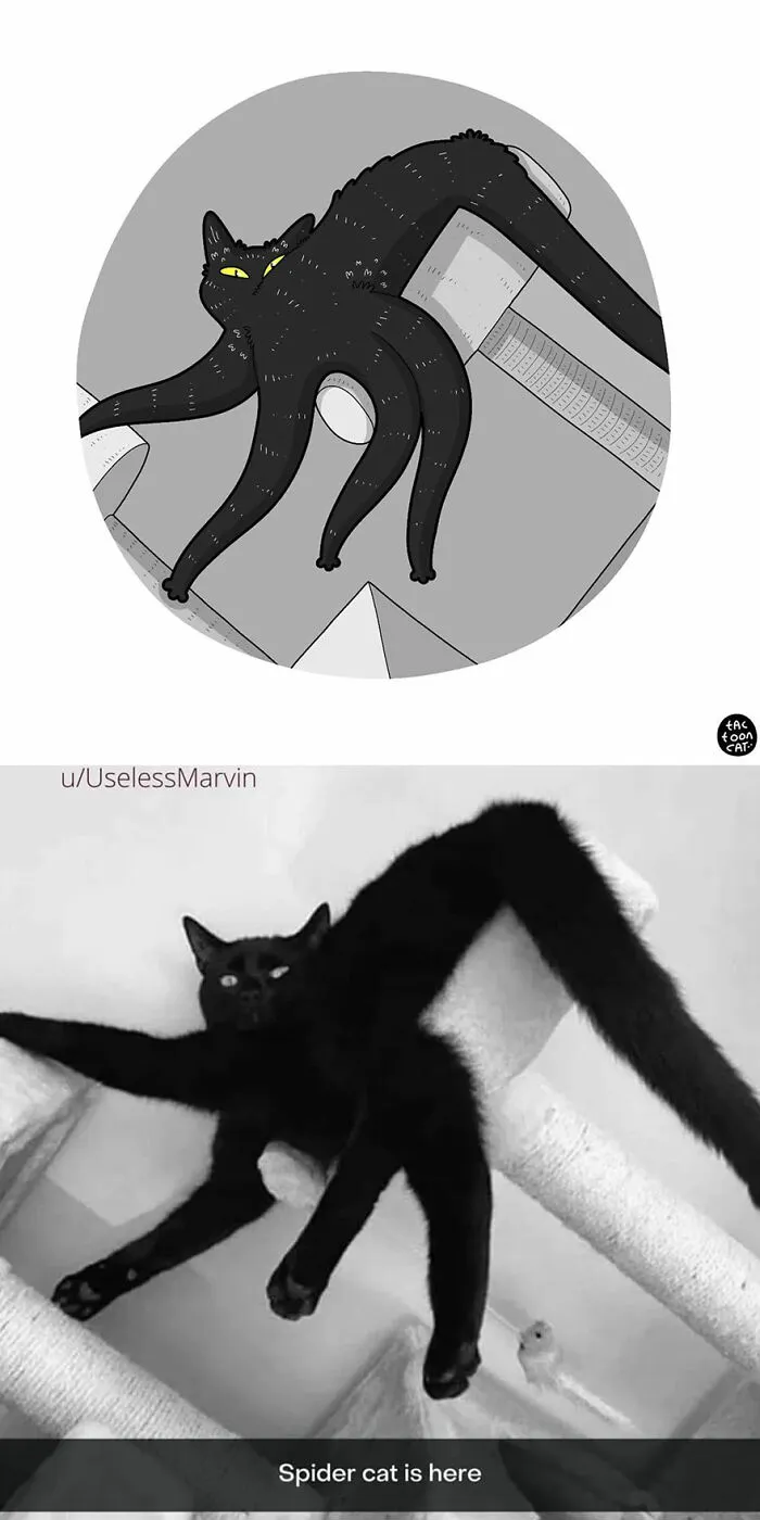 30 Of The Funniest Internet-Famous Cat Pics Get Illustrated By Tactooncat (New Pics)