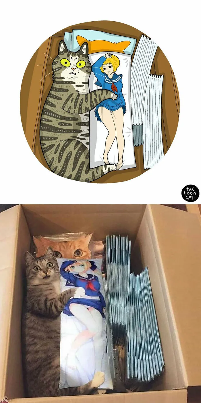 30 Of The Funniest Internet-Famous Cat Pics Get Illustrated By Tactooncat (New Pics)
