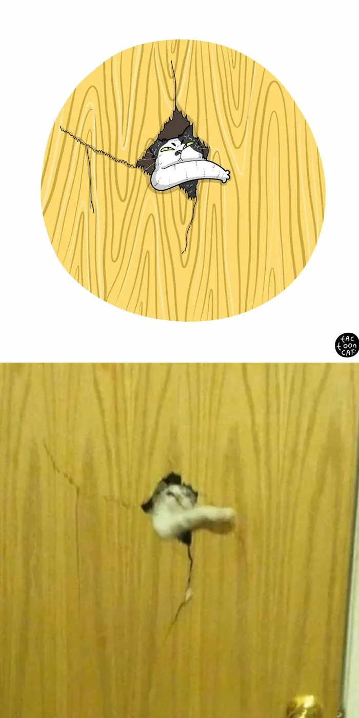 30 Of The Funniest Internet-Famous Cat Pics Get Illustrated By Tactooncat (New Pics)