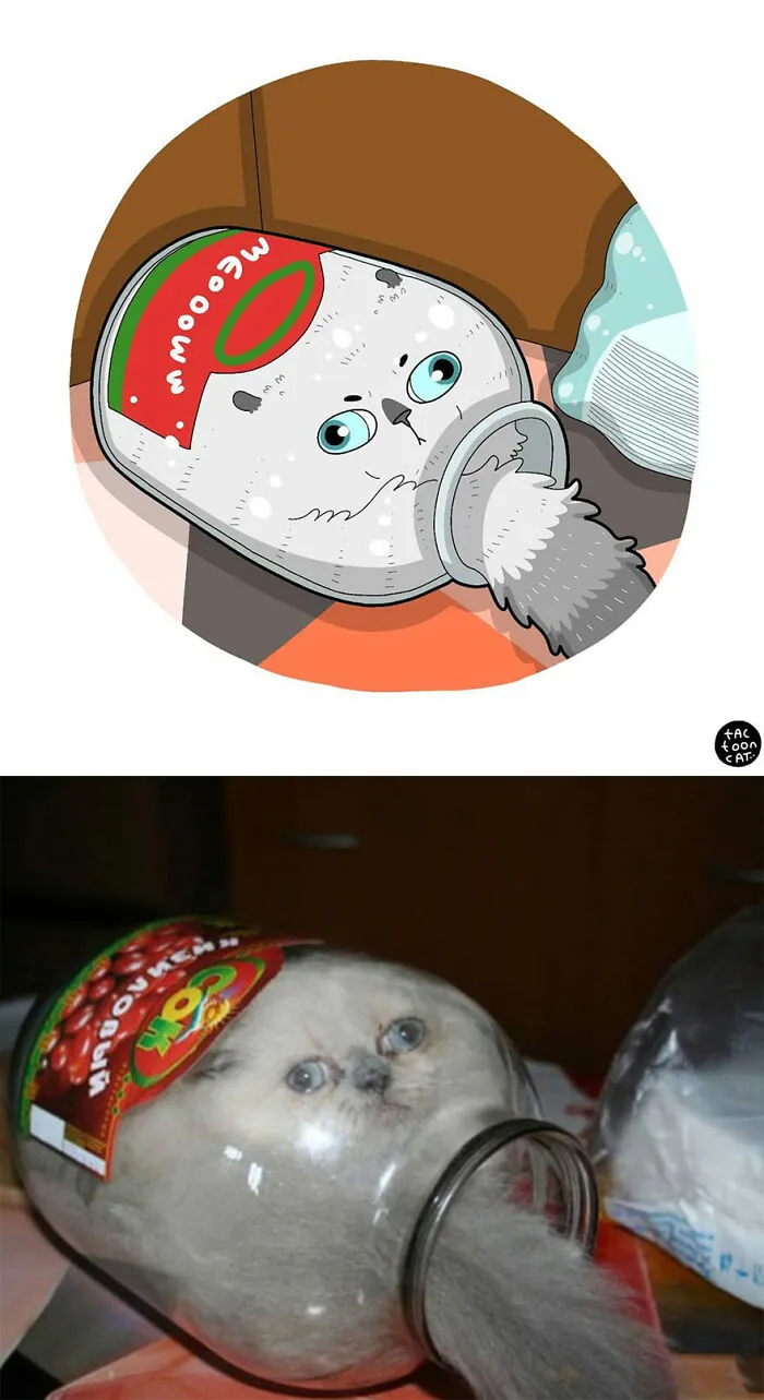 30 Of The Funniest Internet-Famous Cat Pics Get Illustrated By Tactooncat (New Pics)