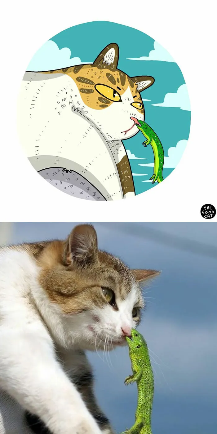 30 Of The Funniest Internet-Famous Cat Pics Get Illustrated By Tactooncat (New Pics)