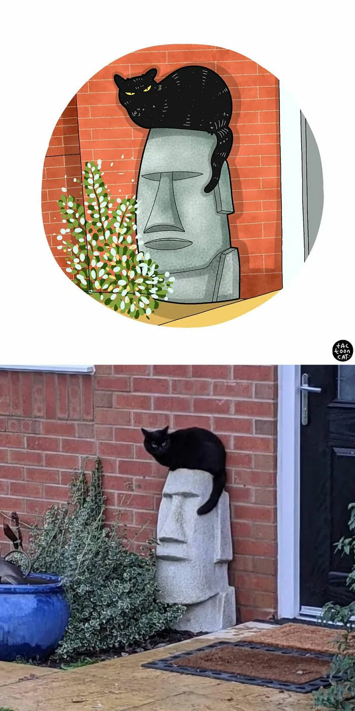 30 Of The Funniest Internet-Famous Cat Pics Get Illustrated By Tactooncat (New Pics)