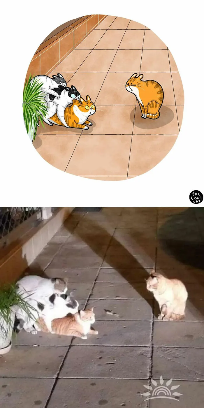 30 Of The Funniest Internet-Famous Cat Pics Get Illustrated By Tactooncat (New Pics)