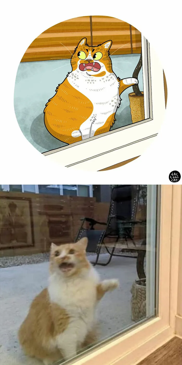 30 Of The Funniest Internet-Famous Cat Pics Get Illustrated By Tactooncat (New Pics)