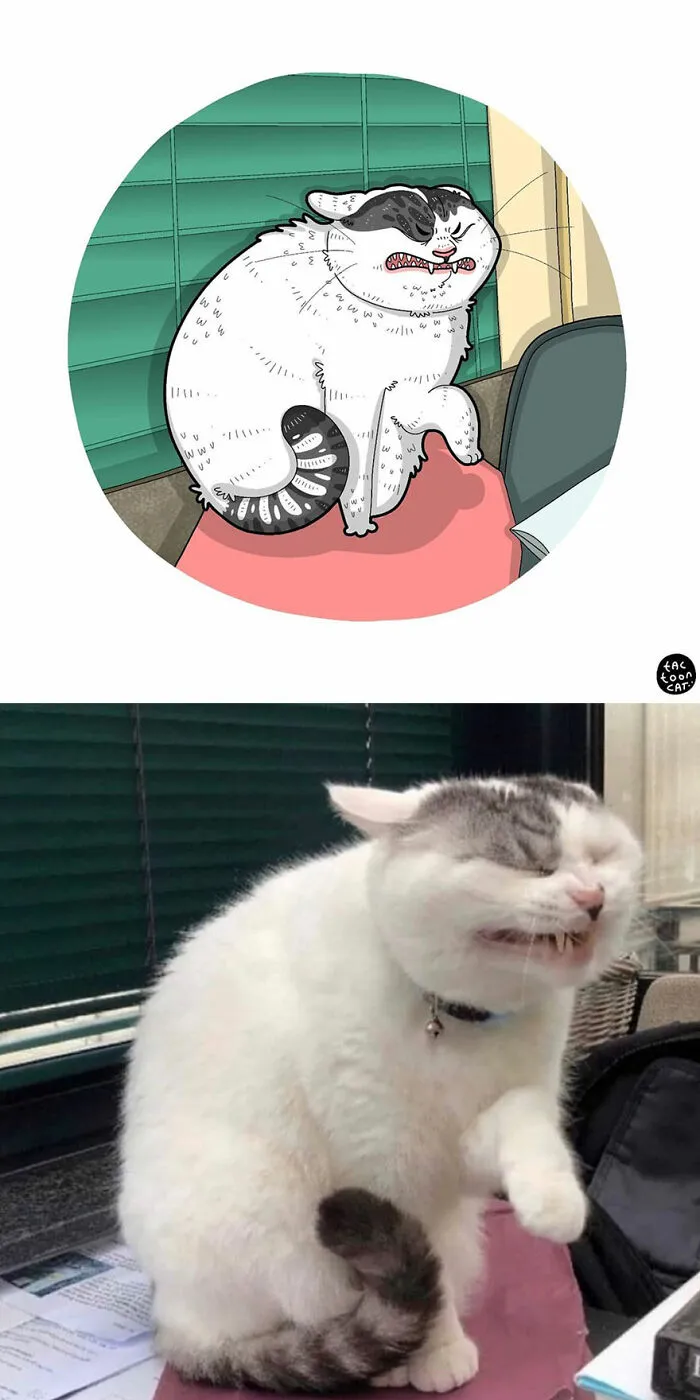 30 Of The Funniest Internet-Famous Cat Pics Get Illustrated By Tactooncat (New Pics)