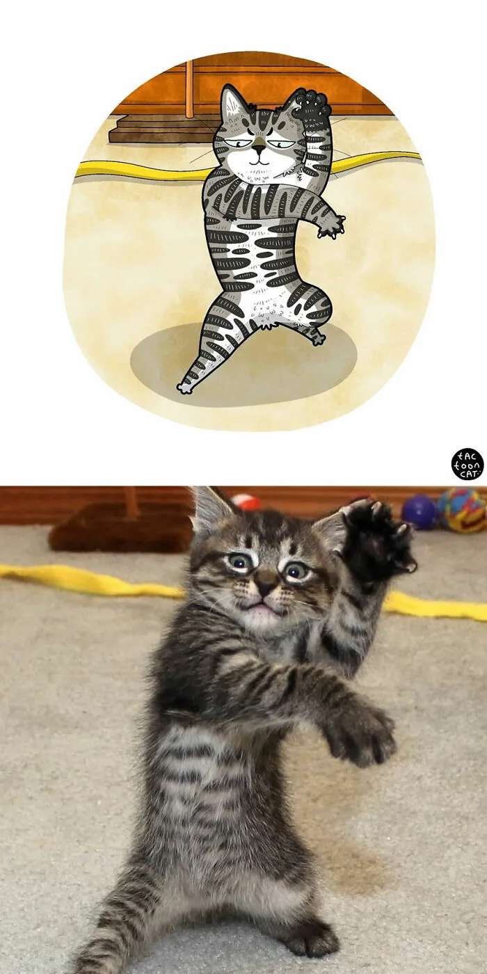 30 Of The Funniest Internet-Famous Cat Pics Get Illustrated By Tactooncat (New Pics)