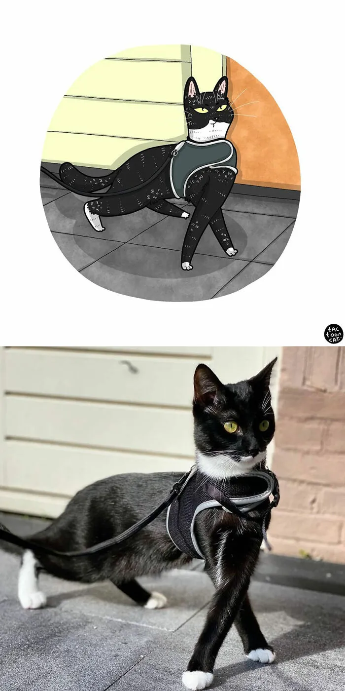 30 Of The Funniest Internet-Famous Cat Pics Get Illustrated By Tactooncat (New Pics)