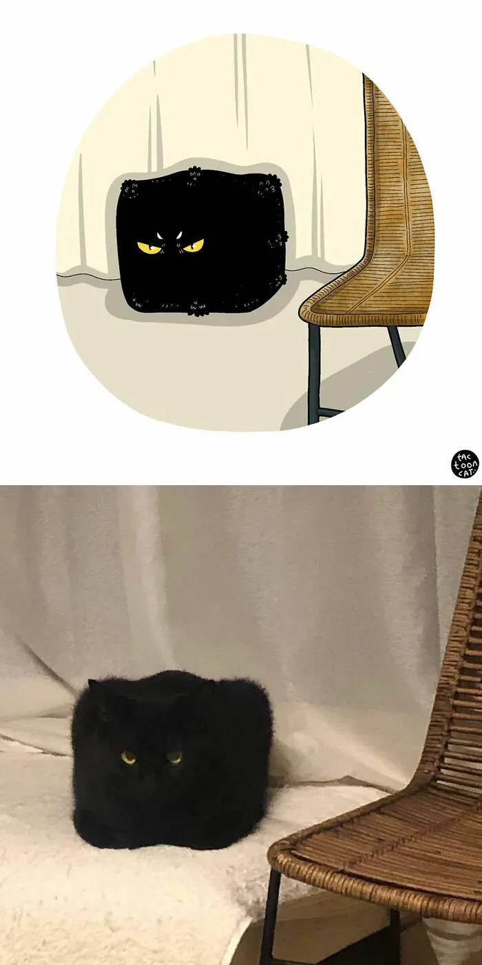 30 Of The Funniest Internet-Famous Cat Pics Get Illustrated By Tactooncat (New Pics)