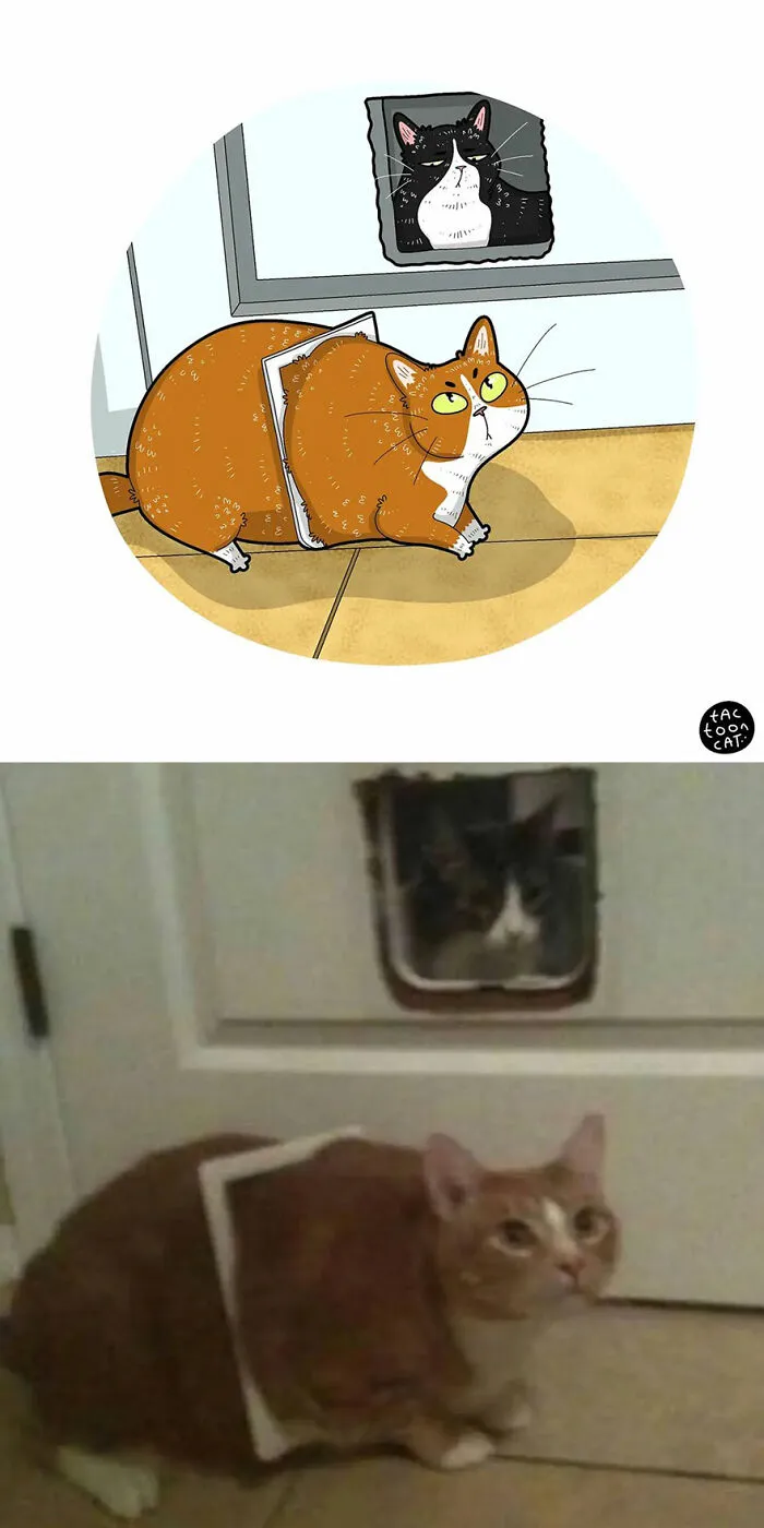 30 Of The Funniest Internet-Famous Cat Pics Get Illustrated By Tactooncat (New Pics)