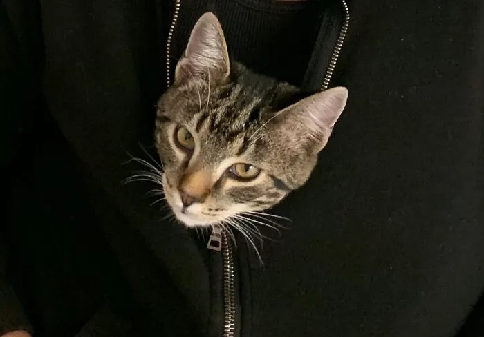 Gene, All Zipped Up In Comfy Town!