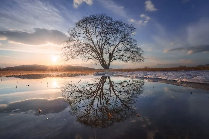 "Winter Is Gone"