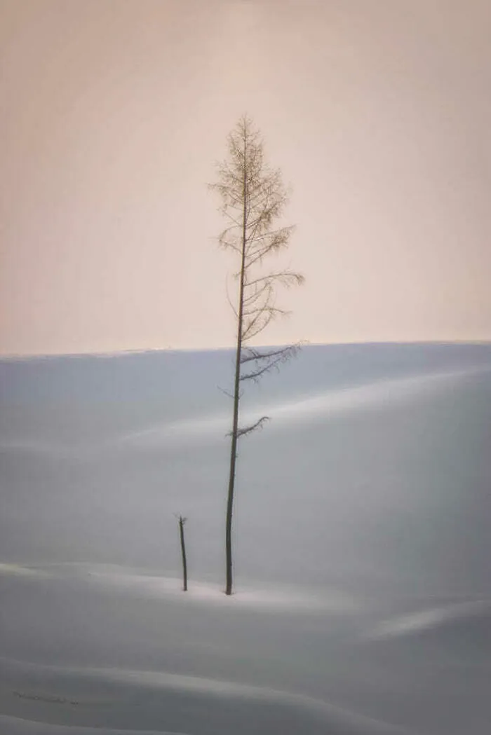 "Loneliness"