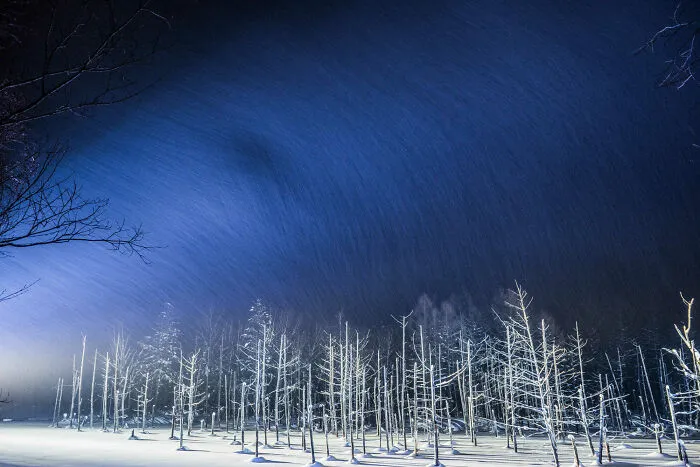 "Winter Blue Pond"