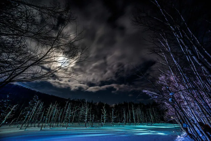 "Moonlight And Blue Pond"