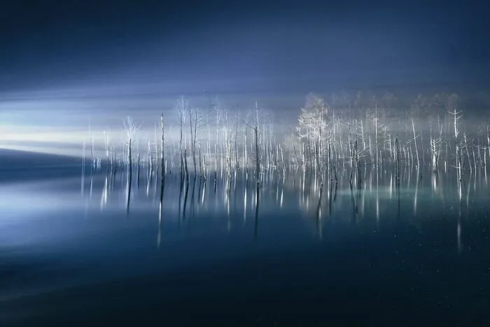 "Indigo Blue"