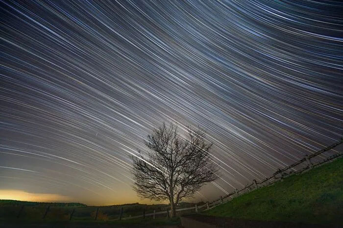 "One Tree"
