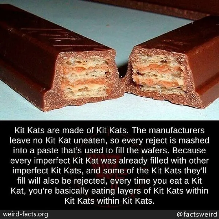 Close-up of a Kit Kat broken in half, illustrating weird facts about the world with nested layers inside the chocolate bar.