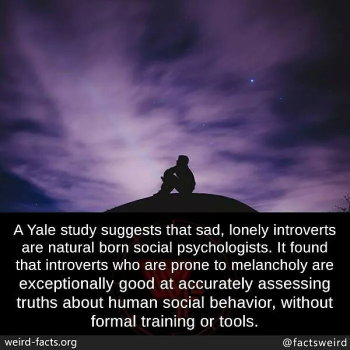 Silhouette of a person sitting alone under a purple sky, illustrating weird facts about human social behavior and introverts.