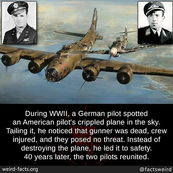 WWII story of a German pilot saving a crippled American plane featuring weird facts about the world and history.