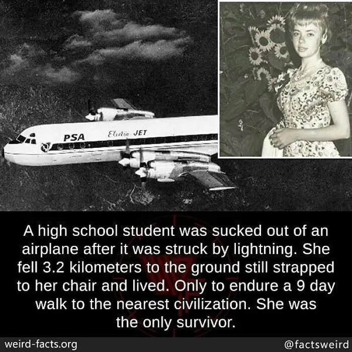 High school student survived being sucked from airplane struck by lightning, falling 3.2 km still strapped to her chair.