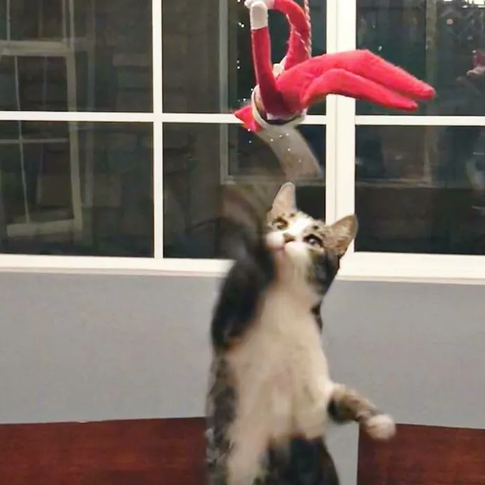 Intruder Alert!