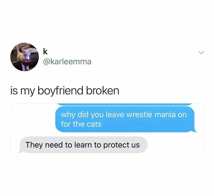 Funny meme text exchange about leaving Wrestle Mania on for cats, featuring relatable humor from a popular IG page.