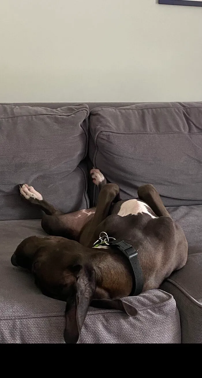 It’s Been A Long Day!