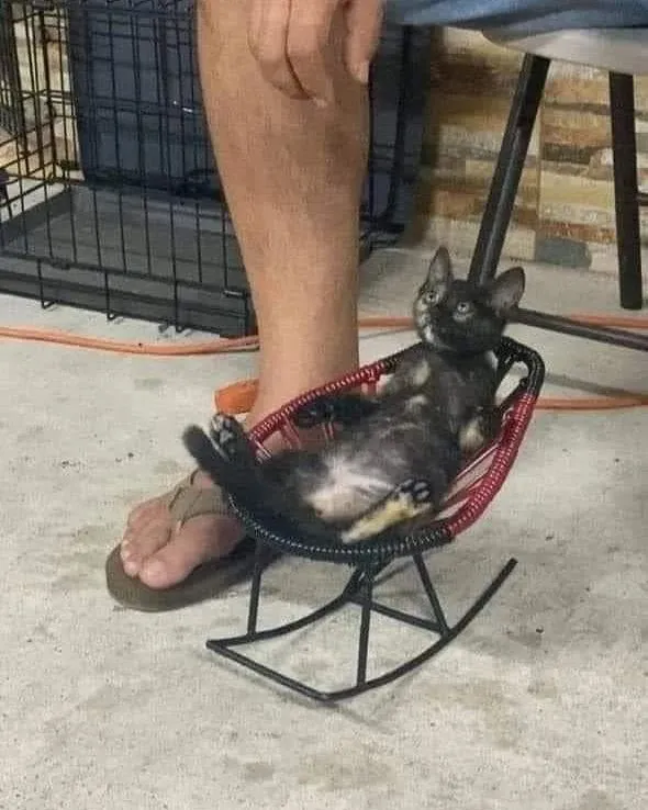 Sábado tranquilo
