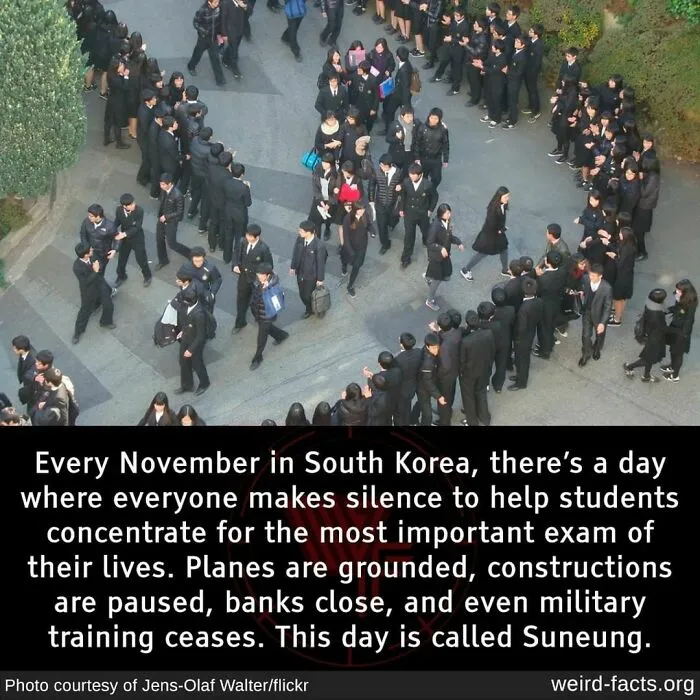Large group of South Korean students gathered outdoors on Suneung day, a weird fact about global exam silence traditions.