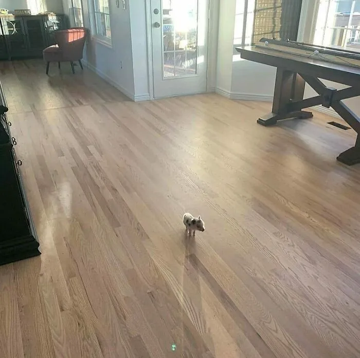 Can You See Me?