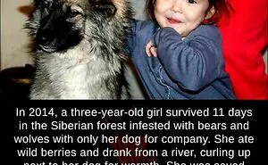 120 ‘Weird Facts’ About The World That Might Give You A Fresh Perspective