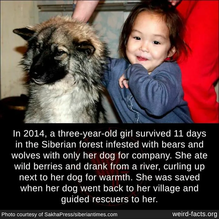 Nature’s smallest hero