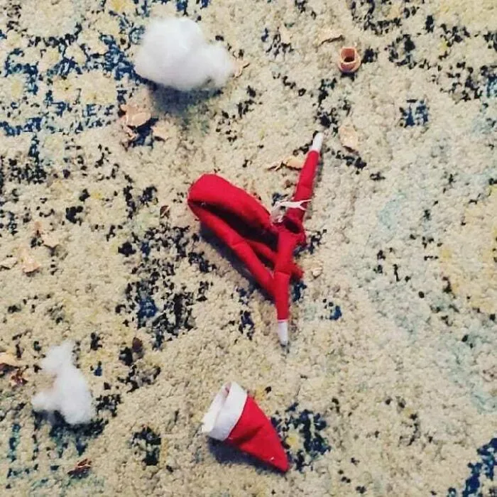 El cachorro atrapó al elfo y bueno...