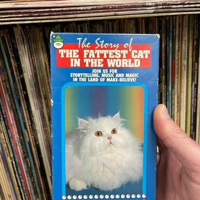 This Instagram Account Is Dedicated To The 'Luckiest' Thrift Store Finds (50 New Pics)