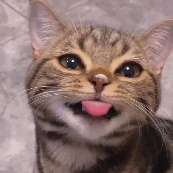 Tongue
