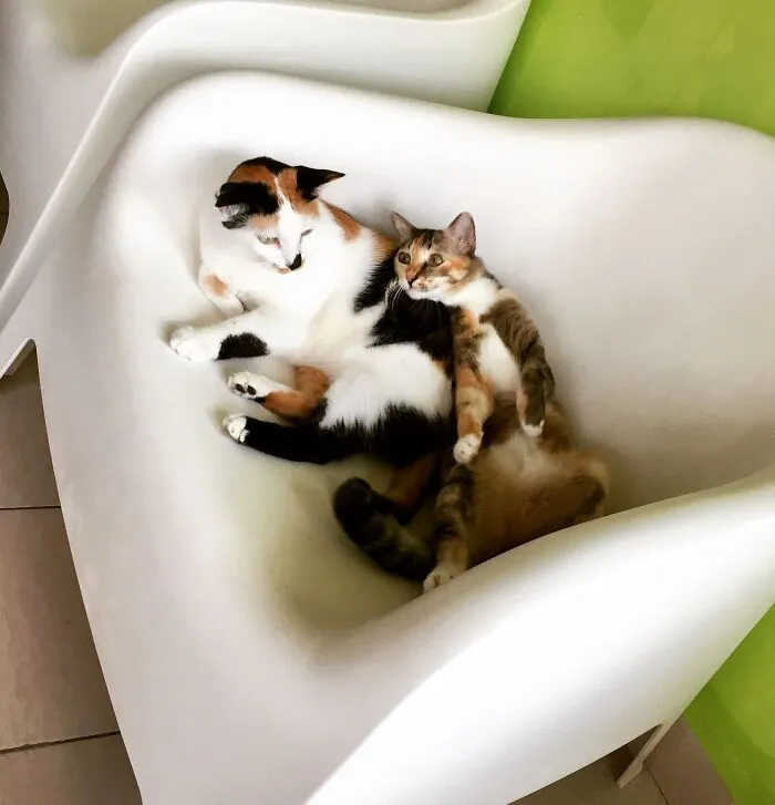 Find Someone In Your Life Who Will Look At You The Way Harriet (Right) Looks At Thelma (Left).