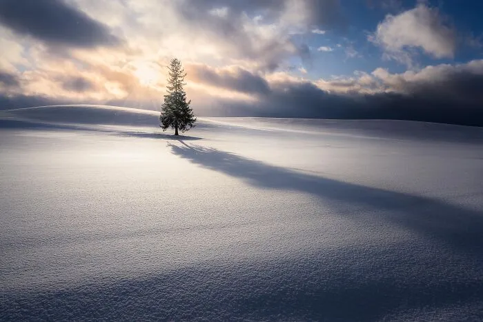 "Sunlight"