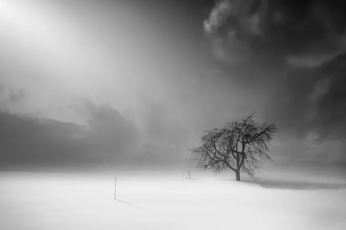 "Lonely"