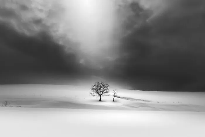 "Sunshine"
