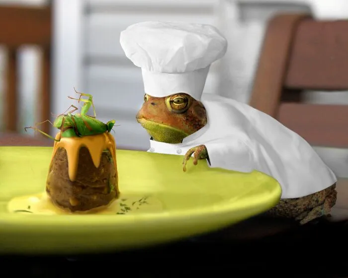 DesignCrowd Hosts A Frog Photoshop Contest, And Here Are 30 Of The Best Submissions