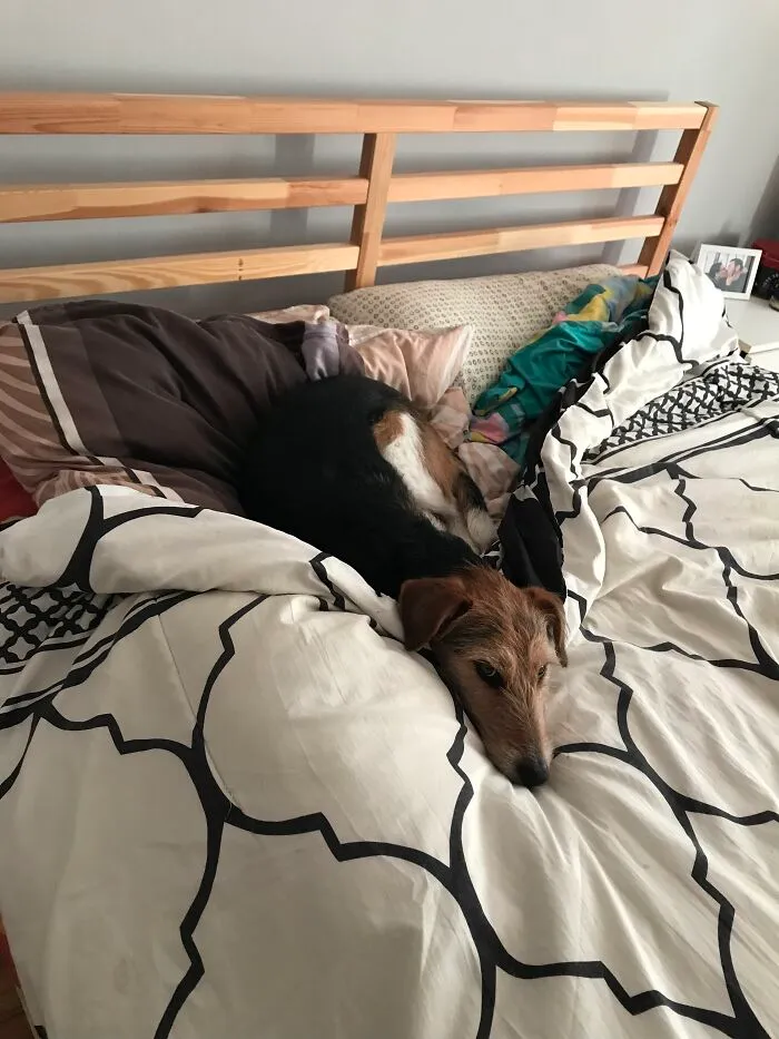She’s Not Allowed To To That, But Who Cares