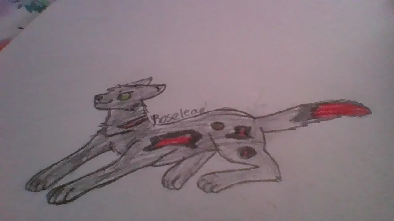 Hey Pandas, Draw A Warrior Cats Oc!