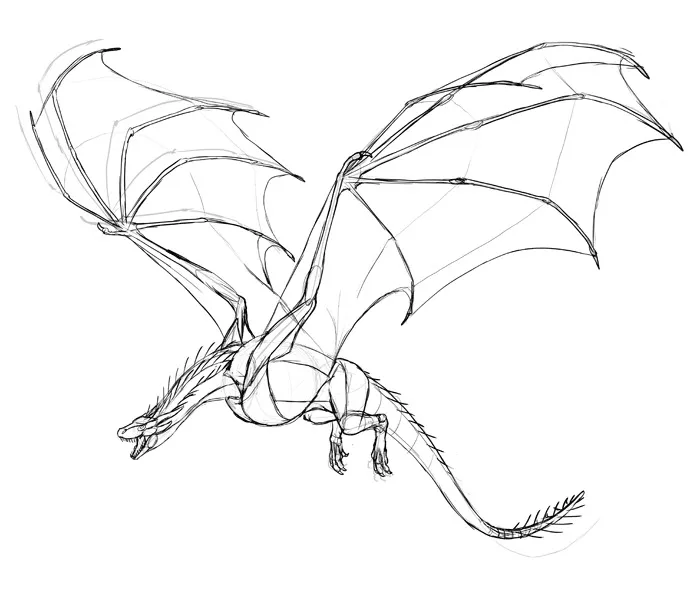 Dragon Drawing (Found On Internet)