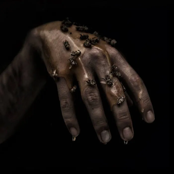 "Greedy Hands"