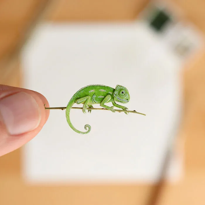 Chameleon