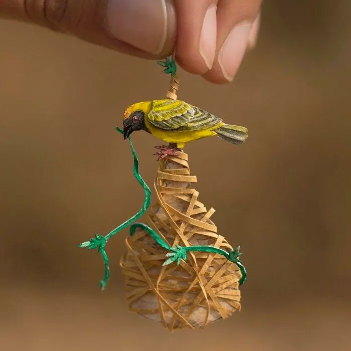 Baya Weaver